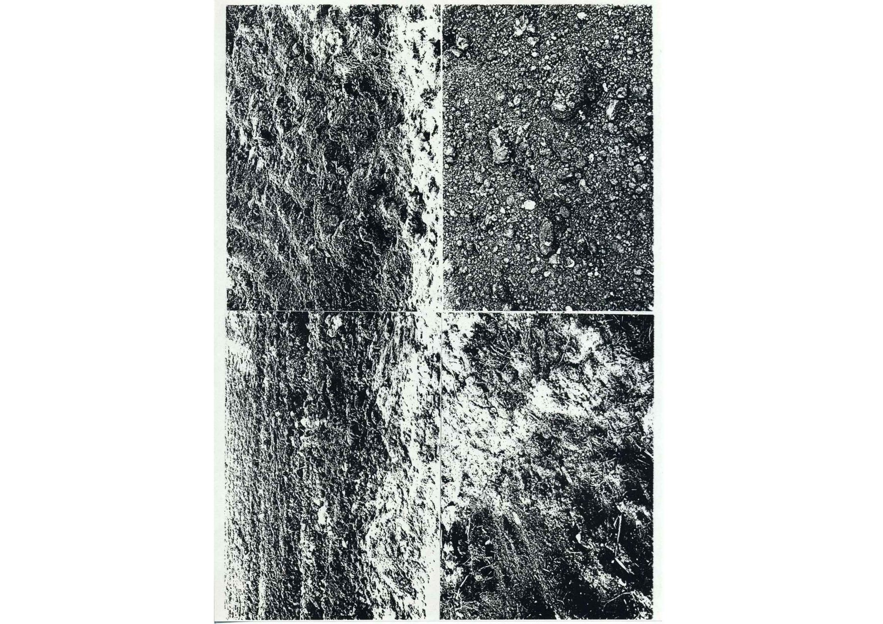 UNBORN — boekpagina 343