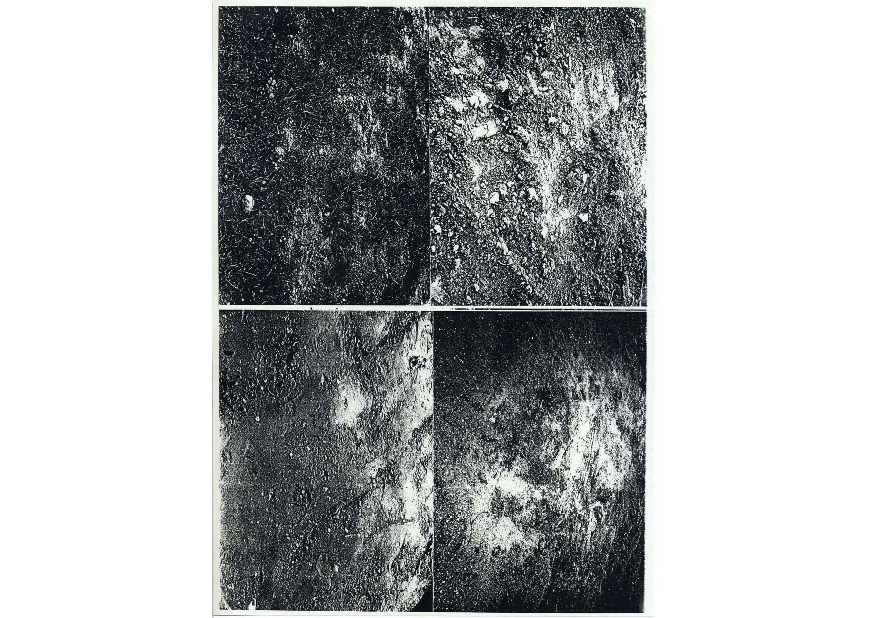 UNBORN — boekpagina 345