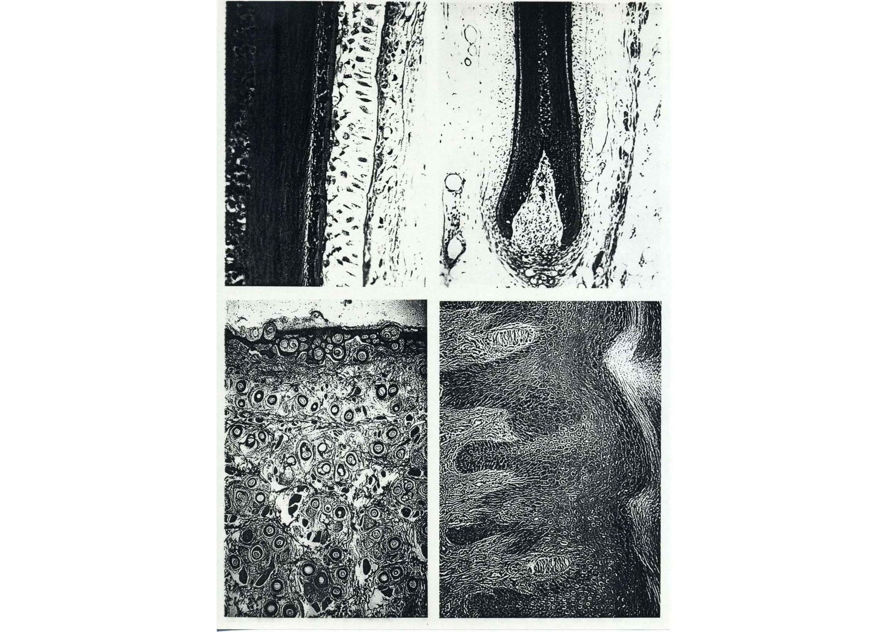UNBORN — boekpagina 346