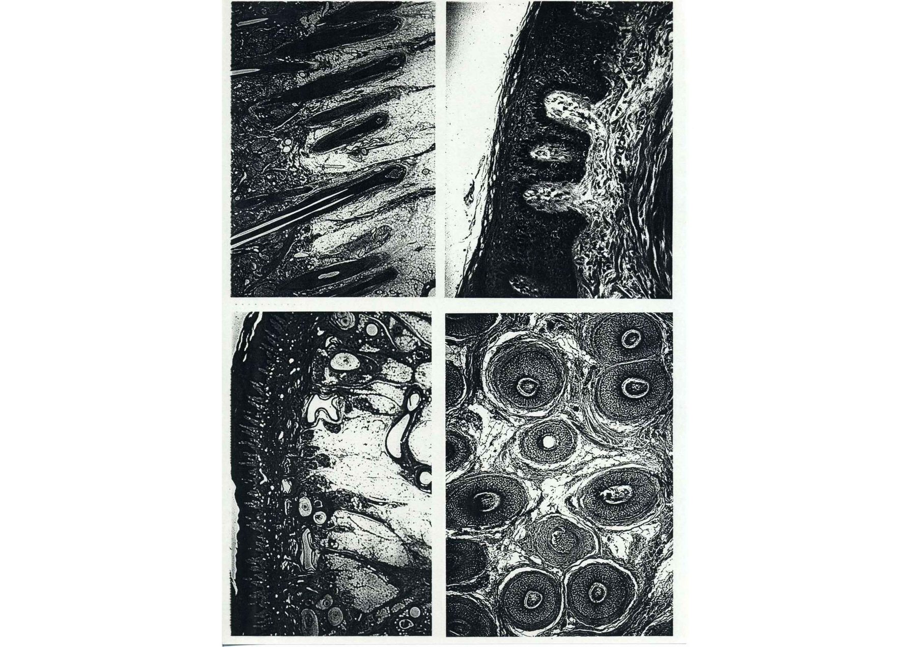 UNBORN — boekpagina 348